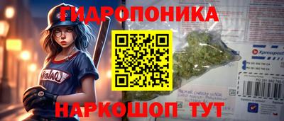 соль ск Пушкино