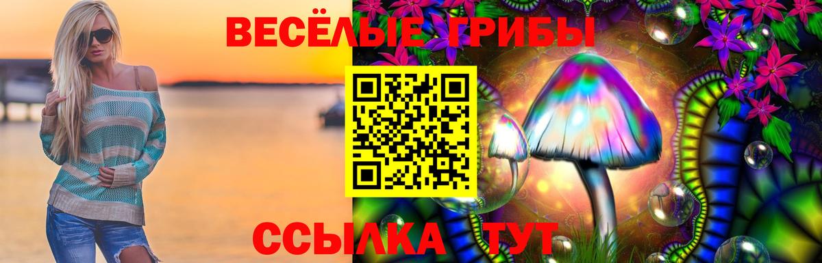 Псилоцибиновые грибы Psilocybe Похвистнево